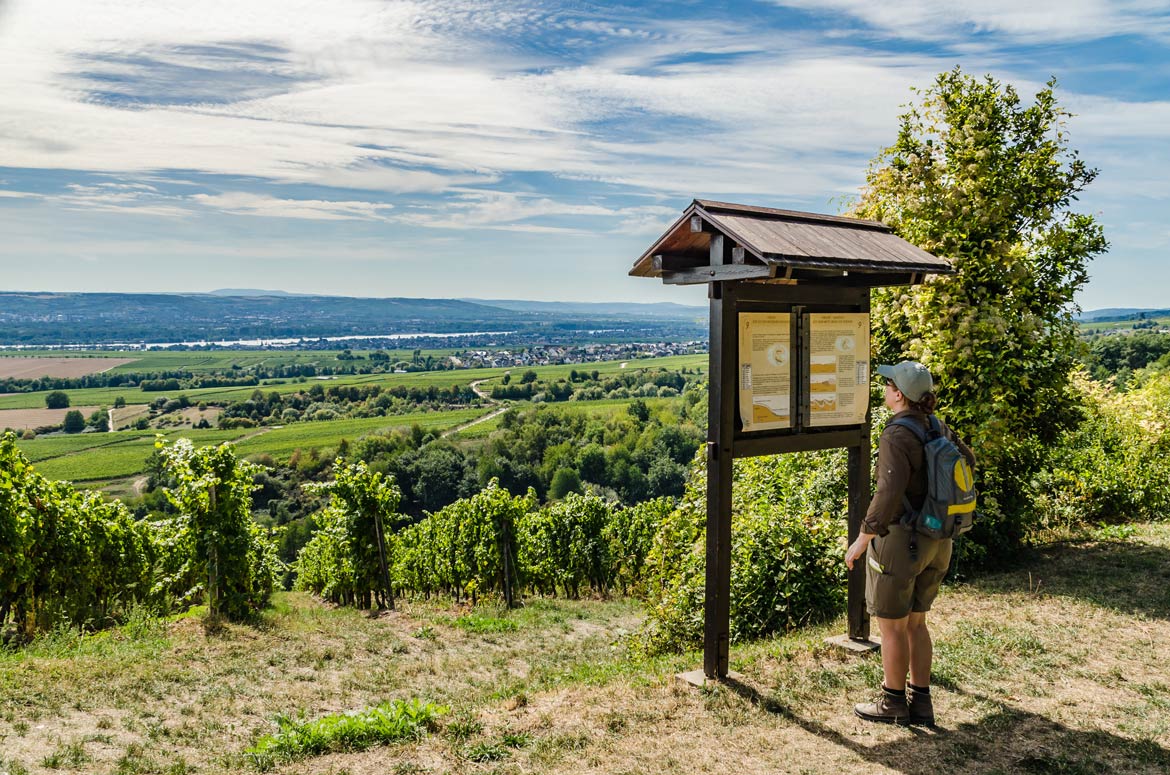 Themenwanderwege im Taunus